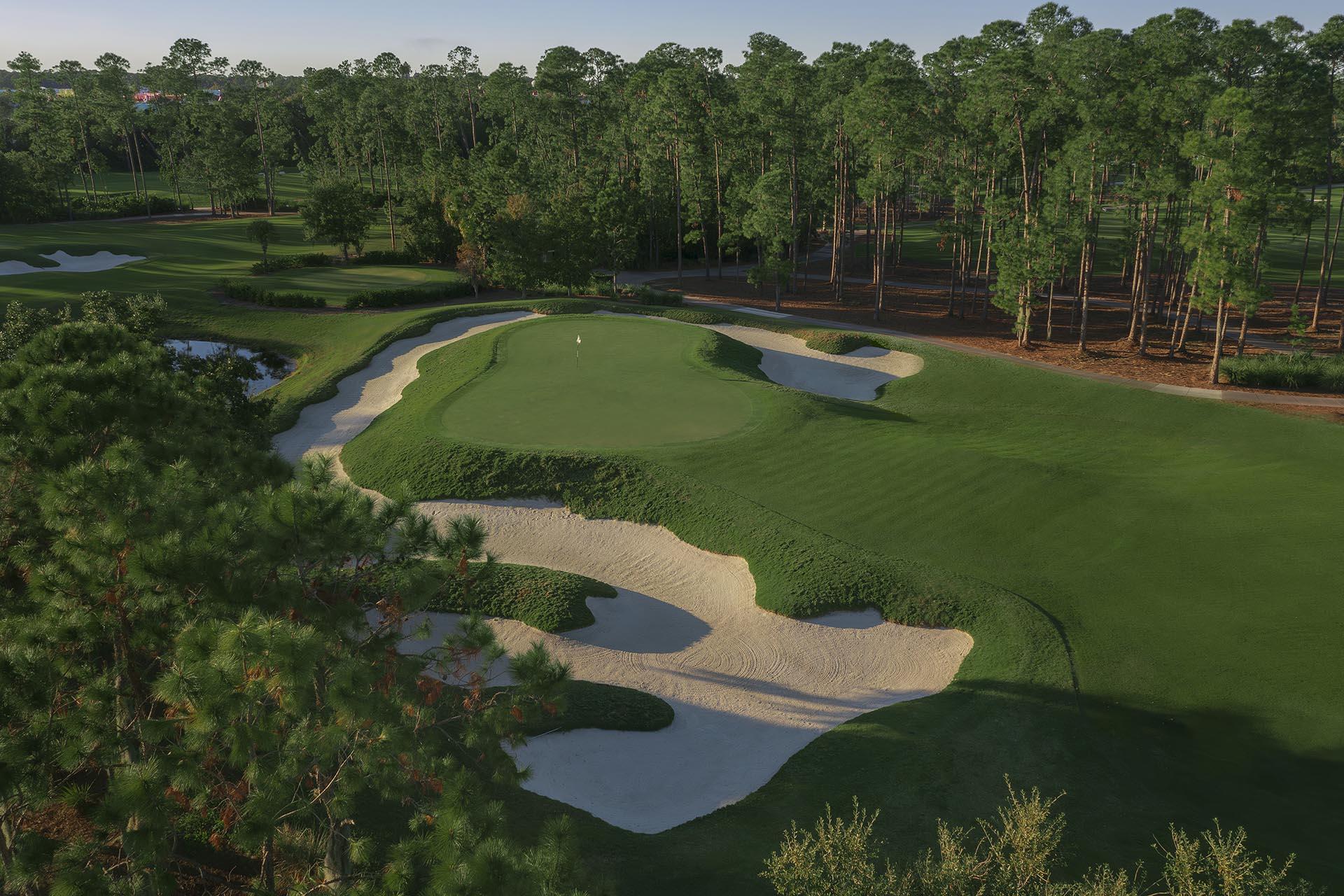 Overhead view of a smooth green surrounded by sand bunkers