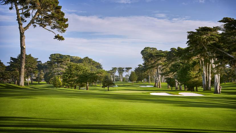 TPC Harding Park